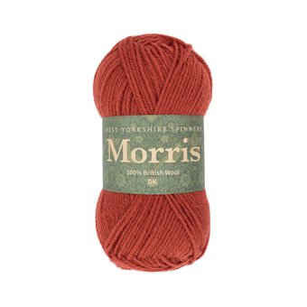 West Yorkshire Spinners Rhubarb Morris DK 50g 