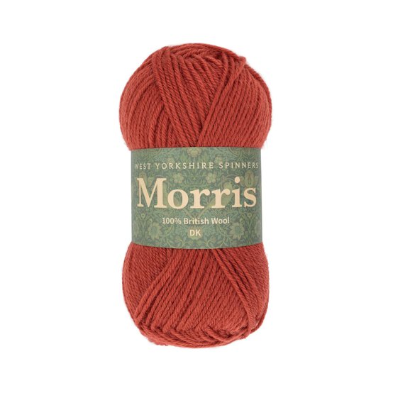 West Yorkshire Spinners Rhubarb Morris DK 50g  image number 1