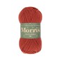West Yorkshire Spinners Rhubarb Morris DK 50g  image number 1
