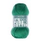 James C Brett Green It’s Pure Cotton Yarn 100g image number 1