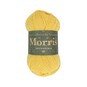 West Yorkshire Spinners Daffodil Morris DK 50g image number 1