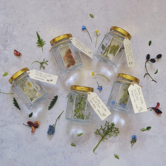How to Make Botanical Jars image number 1