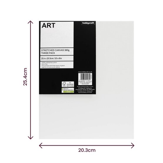 Stretched Canvas 25.4cm x 20.3cm 3 Pack image number 5