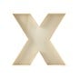 Wooden Fillable Letter X 22cm image number 3
