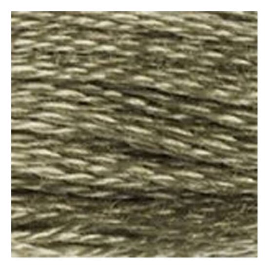 DMC Green Mouline Special 25 Cotton Thread 8m (3032) image number 2