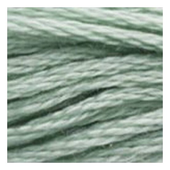 DMC Green Mouline Special 25 Cotton Thread 8m (3813)
