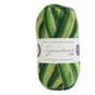 West Yorkshire Spinners Spring Green Signature 4 Ply 100g image number 1