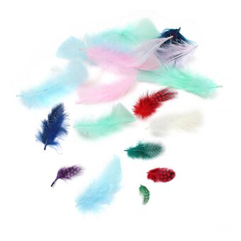 Mixed Exotic Craft Feathers 5g