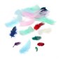 Mixed Exotic Craft Feathers 5g image number 1