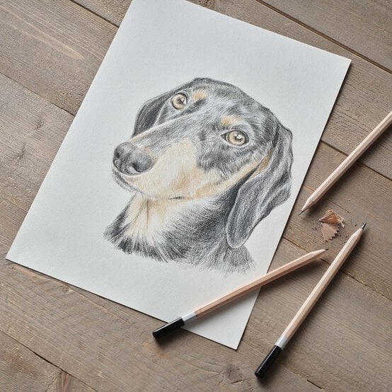 How to Draw a Dachshund image number 1