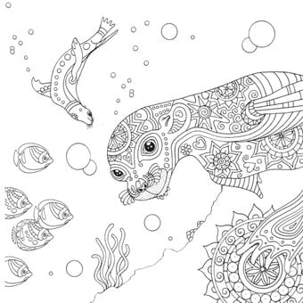 Seal Free Pattern Download