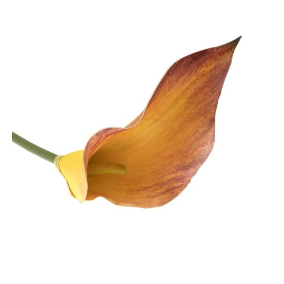 Mango Botanica Calla Lily 60cm image number 2