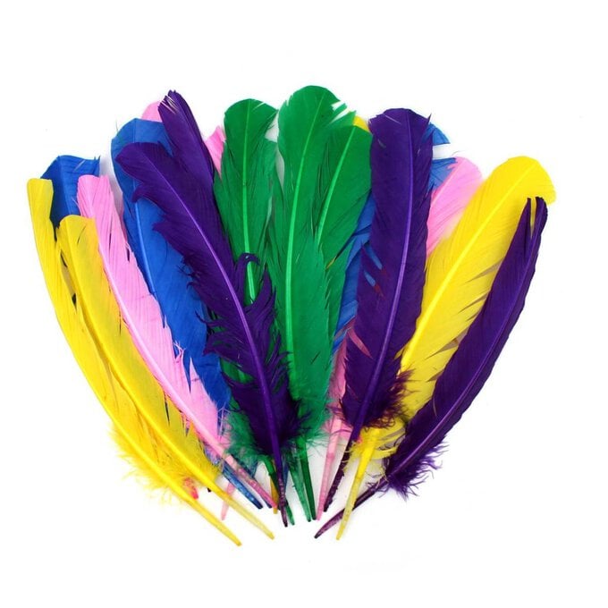 Assorted American Style Feathers 9 Pack