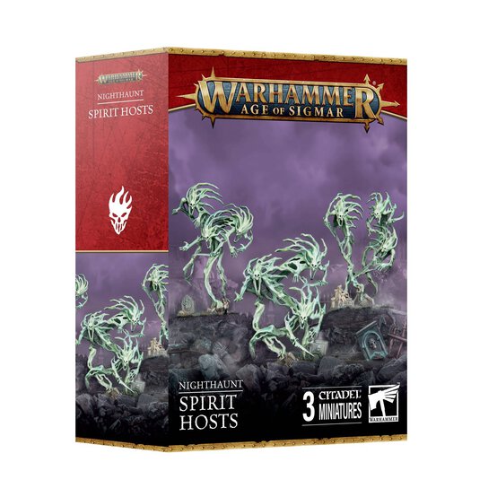 Warhammer Age of Sigmar Nighthaunt Spirit Hosts image number 1