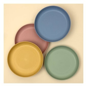 Create & Celebrate Reusable Plates 4 Pack