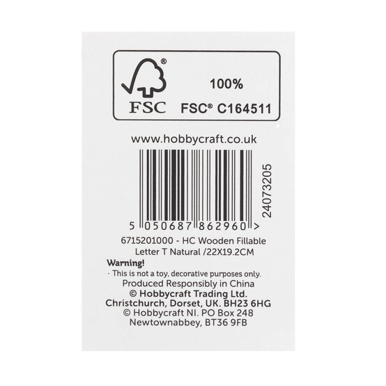 Wooden Fillable Letter T 22cm image number 6