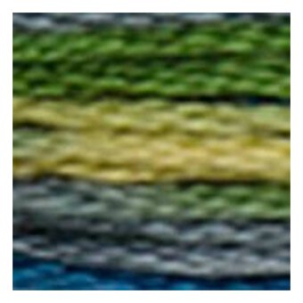DMC Green and Yellow Coloris Mouline Cotton Thread 8m (4506)
