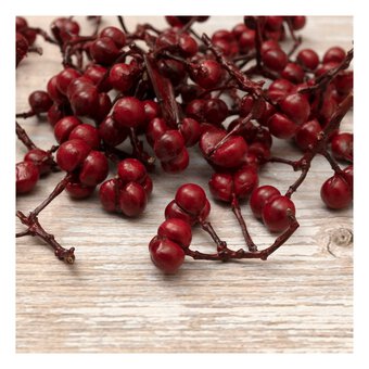 Red Berries 30g 