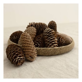 Large Pinecones 200g