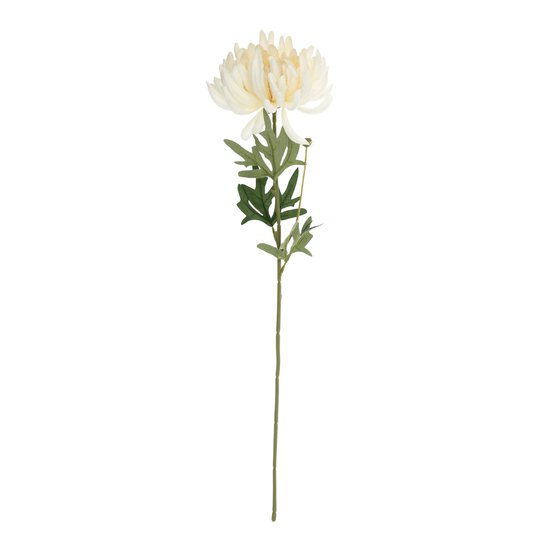 Cream Chrysanthemum 65cm image number 1