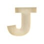 Wooden Fillable Letter J 22cm image number 3