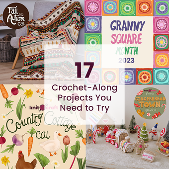 17 Crochet-Along Projects You Need to Try