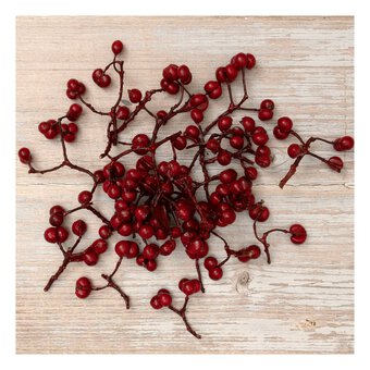 Red Berries 30g 