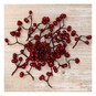 Red Berries 30g  image number 1