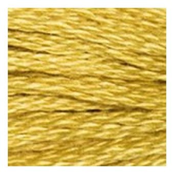 DMC Yellow Mouline Special 25 Cotton Thread 8m (3820)