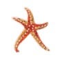 Starfish Iron-On Patch image number 1