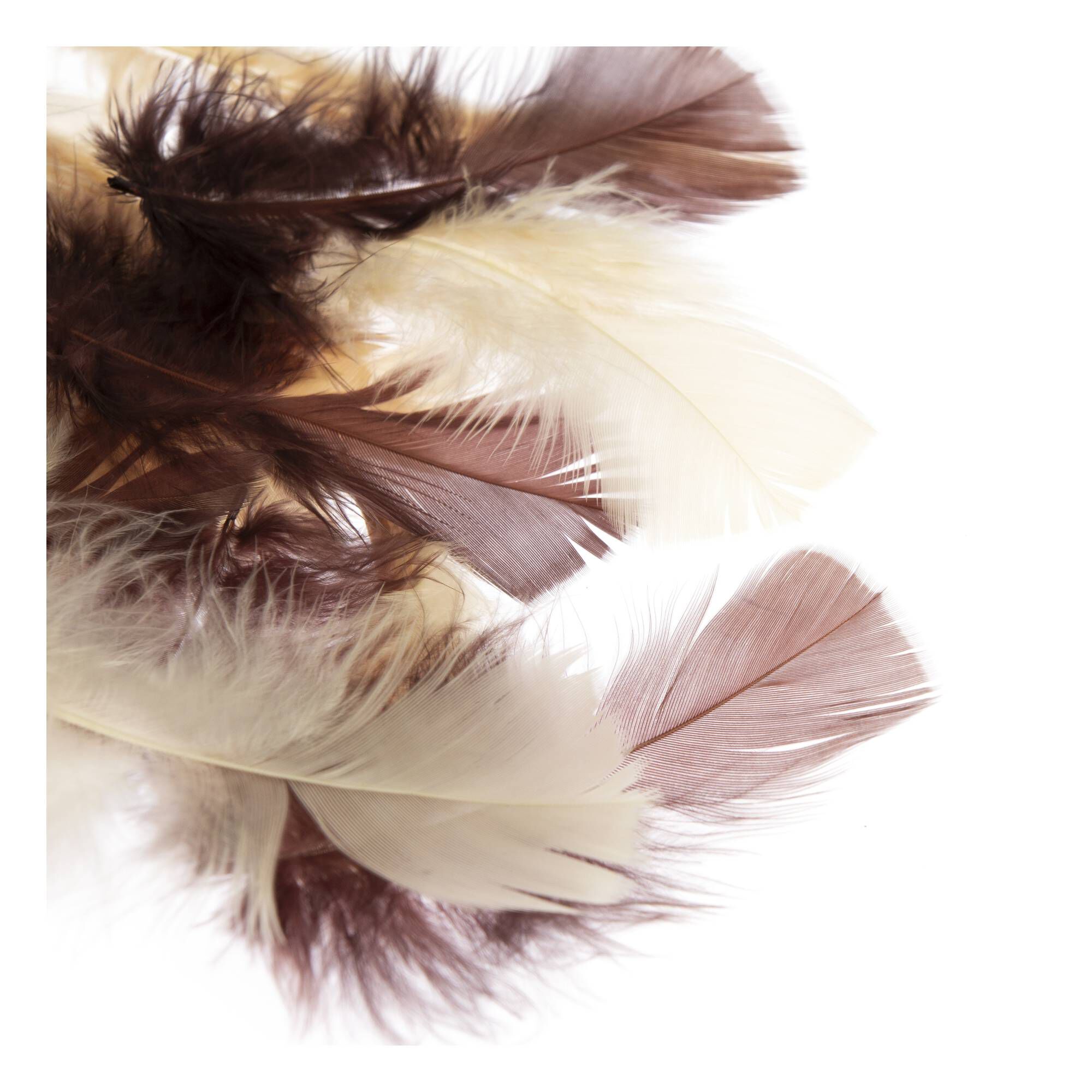 Natural Craft Feathers 5g Hobbycraft