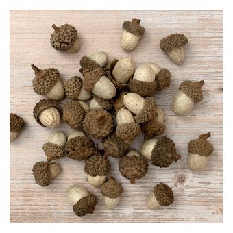 Mini Acorns 100g