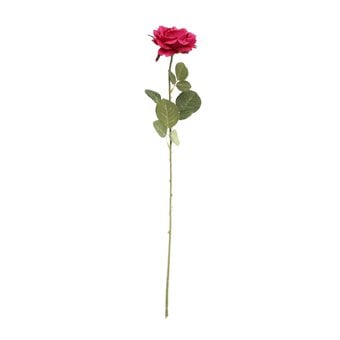 Fuchsia Arundel Open Rose 76cm x 12cm