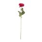 Fuchsia Arundel Open Rose 76cm x 12cm image number 1