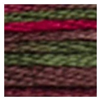 DMC Brown and Red Coloris Mouline Cotton Thread 8m (4518) image number 2