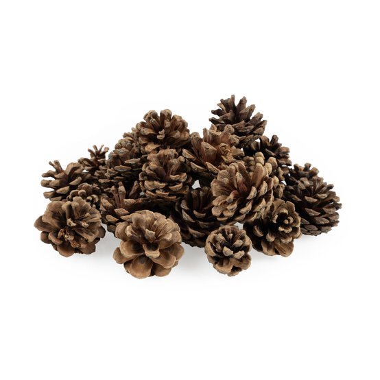 Pinecones 200g image number 1