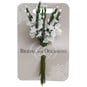 White Heathers 12.5cm 12 Pack image number 3