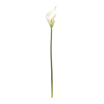 White Botanica Calla Lily 60cm