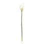 White Botanica Calla Lily 60cm image number 1