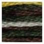 DMC Yellow and Brown Coloris Mouline Cotton Thread 8m (4521) image number 2