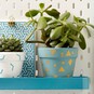 Your Cricut Explore: Three Home Decor Projects to Make image number 1