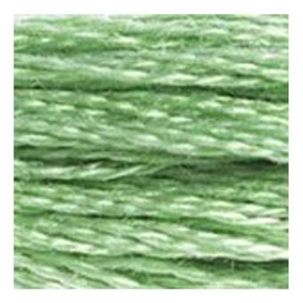 DMC Green Mouline Special 25 Cotton Thread 8m (368) image number 2