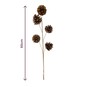Pinecone Pick 60cm  image number 3