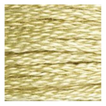 DMC Yellow Mouline Special 25 Cotton Thread 8m (3046)