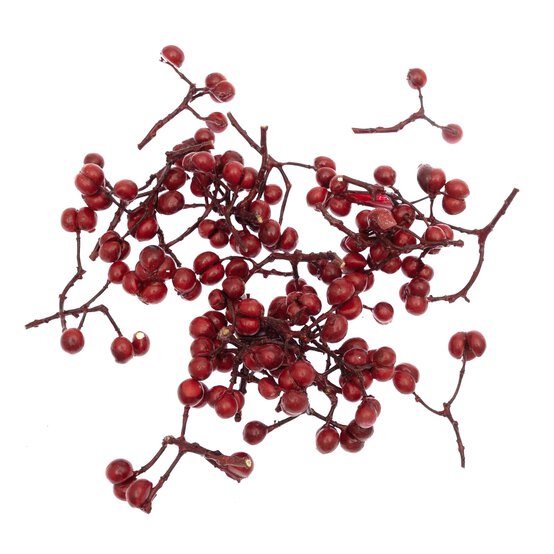 Red Berries 30g  image number 3