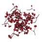 Red Berries 30g  image number 3