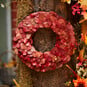 How to Make an Autumnal Leaf Wreath image number 1