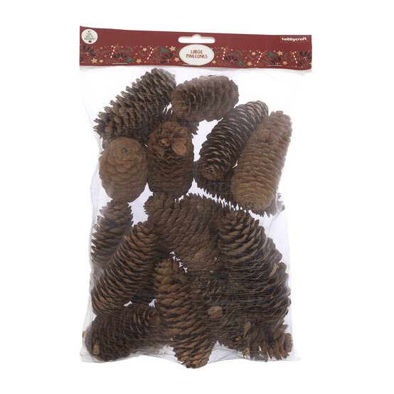 Large Pinecones 200g image number 6