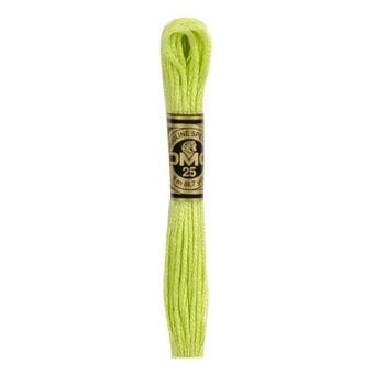 DMC Green Mouline Special 25 Cotton Thread 8m (016)