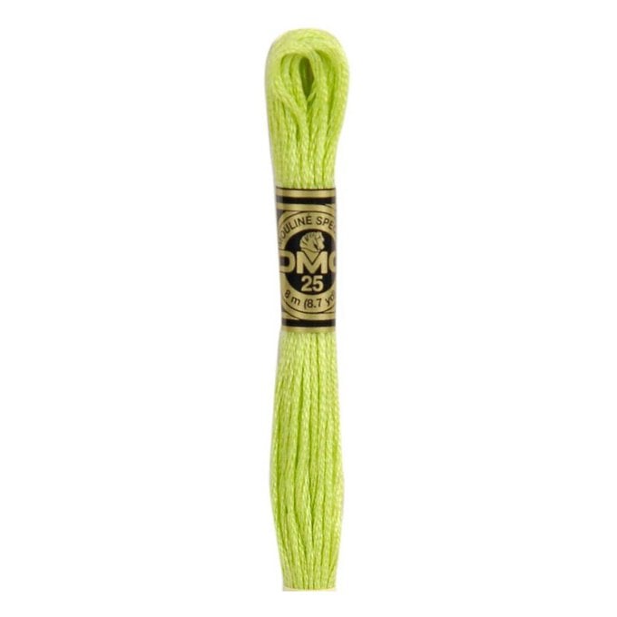 DMC Green Mouline Special 25 Cotton Thread 8m (016) image number 1